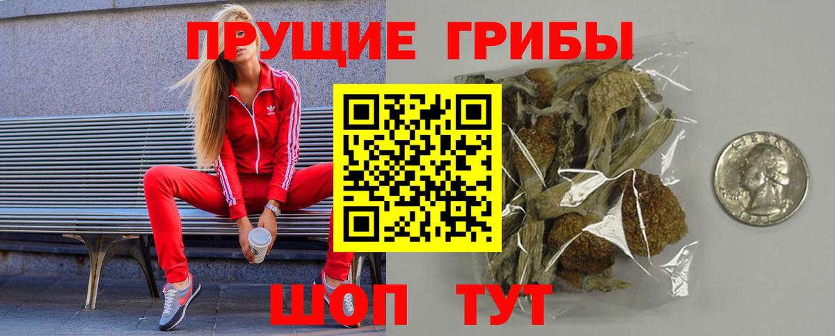 Псилоцибиновые грибы мухоморы Кострома