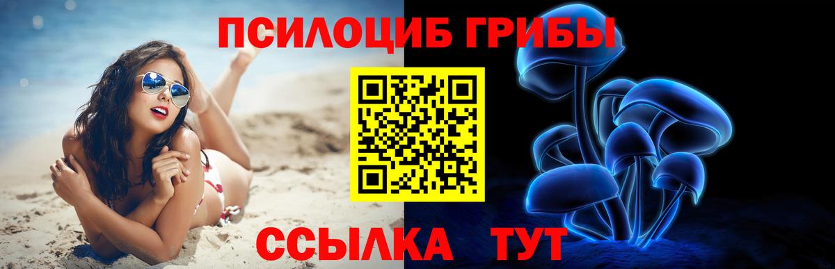 Псилоцибиновые грибы Cubensis  Псилоцибиновые грибы GOLDEN TEACHER  Вход с VPN  Кострома 
